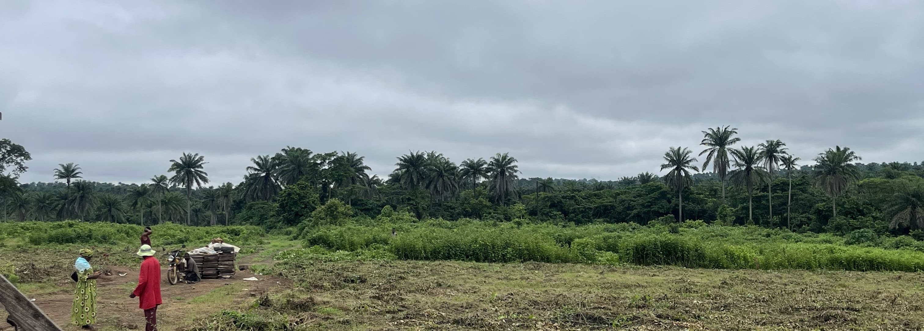 Luxury County Estate at Ido Eruwa