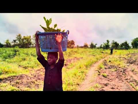 Cashew Haven Farmland video thumbnail 1