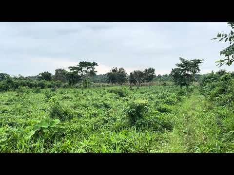 Luxury County Estate at Ido Eruwa video thumbnail 1