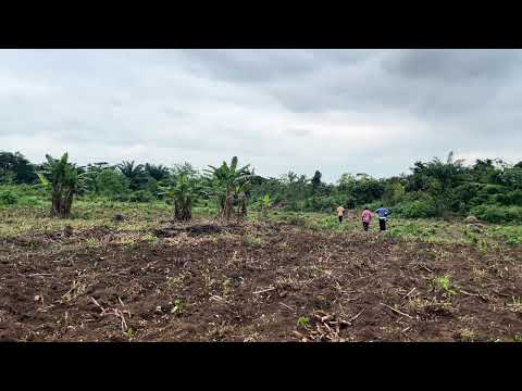 Luxury County Estate at Ido Eruwa video thumbnail 2