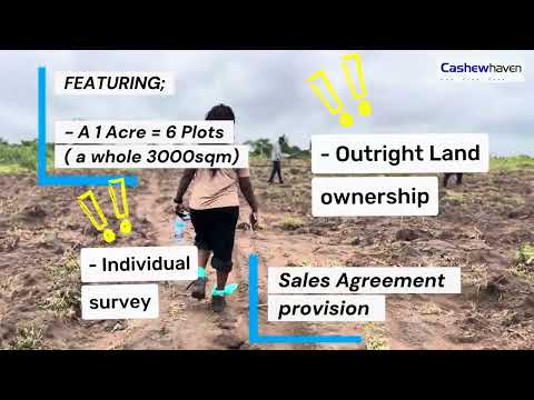 Cashew Haven Farmland video thumbnail 2